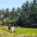 വാക്സിൻ വിരോധം, മനഃപൂർവം കൊവിഡ് വരുത്തി ചെക്ക് ഗായിക ഹനാ ഹോർക്ക അന്തരിച്ചു