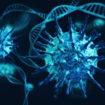 അറിയിപ്പുകൾ