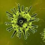 പുതുതായി 2.82 ലക്ഷം കോവിഡ് കേസുകൾ;ടിപിആര്‍ 15.13 ശതമാനം