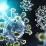 ദീപുവിന്റെ മരണം ആസൂത്രിത കൊലപാതകം;ഒന്നാം പ്രതി ശ്രീനിജൻ എംഎൽഎ,പ്രൊഫഷണൽ രീതിയിലുള്ള ആക്രമണം