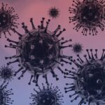 റോഡ് പ്രവൃത്തികള്‍ പൊതുമരാമത്ത് മന്ത്രി പി.എ മുഹമ്മദ് റിയാസ് ഉദ്ഘാടനം ചെയ്തു