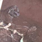 കിഴക്കമ്പലത്ത് വിളക്കണക്കൽ സമരത്തിനിടെയുണ്ടായ സംഘർഷം;സിപിഎമ്മുകാരുടെ മര്‍ദ്ദനമേറ്റ ട്വന്റി 20 പ്രവര്‍ത്തകന്‍ മരിച്ചു