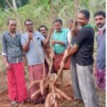 എസ്.എസ്.എൽ.സി, ഹയർ സെക്കന്ററി പരീക്ഷകൾക്കുള്ള തയ്യാറെടുപ്പുകൾ പൂർത്തിയായതായി  വി. ശിവൻകുട്ടി  എസ്.എസ്.എൽ.സി പരീക്ഷ മാർച്ച് 31ന്