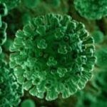 സിപിഎം പാർട്ടി കോൺഗ്രസ് സെമിനാറിൽ പങ്കെടുക്കാൻ കെ വി തോമസ് കണ്ണൂരിലേക്ക്;സെമിനാർ നാളെ നടപടിക്കൊരുങ്ങി കോൺഗ്രസ്