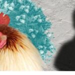 ഗുജറാത്ത് മാതൃക പഠിക്കാൻ കേരളം; ഇ-ഗവേണന്‍സിനായി നടപ്പാക്കിയ ഡാഷ് ബോര്‍ഡ് സംവിധാനം പഠിക്കാൻ പ്രതിനിധികൾ ഇന്ന് അഹമ്മദാബാദിലേക്ക്