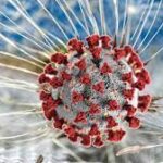 തദ്ദേശ തിരഞ്ഞെടുപ്പ്: വോട്ടർപട്ടികയിൽ പേര് ചേർക്കാൻ വീണ്ടും അവസരം