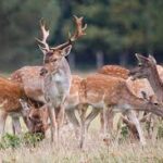 ലഹരി സംഘത്തിനെതിരെ വാർത്ത നൽകിയ മാധ്യമ പ്രവർത്തകന് ഭീഷണി ലഭിച്ച സംഭവം;ഇത്തരം പ്രവണതകൾ അപലപനീയമെന്ന് എം എൽ എ,പ്രതിഷേധം അറിയിച്ച് വിവിധ നേതാക്കൾ