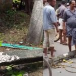 വിമാനത്തിനുള്ളില്‍ മുഖ്യമന്ത്രിക്കെതിരെ പ്രതിഷേധിച്ച മൂന്ന് പ്രതികള്‍ക്കും ജാമ്യം അനുവദിച്ച് ഹൈക്കോടതി