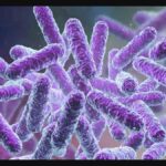 വേറെ പണിയൊന്നും ഇല്ലാത്തവര്‍ കേസ് കൊടുക്കുന്നതാണ് നല്ലത്, വിഡി സതീശനെ പരിഹസിച്ച് ഇ പി ജയരാജന്‍