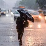 വീട്ടിൽ കഞ്ചാവ്, മരുമകൻ പിടിയിൽ,വീട് നിയന്ത്രിക്കാൻ കഴിയാത്തവൻ നാടിനെ നയിക്കാൻ യോഗ്യനല്ല നേതൃസ്ഥാനം രാജിവച്ച് ബിജെപി നേതാവ്