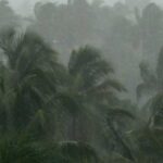 രാജു അപ്സര വ്യാപാരി വ്യവസായി ഏകോപന സമിതി സംസ്ഥാന പ്രസിഡന്റ്