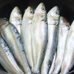 സജി ചെറിയാന്റെ രാജി ആവശ്യപ്പെട്ട് പ്രതിപക്ഷ പ്രതിഷേധം;ചോദ്യോത്തരവേളയും ശൂന്യവേളയും റദ്ദാക്കി സഭപിരിഞ്ഞു,ജയ് ഭീം’ വിളിച്ച് പ്രതിപക്ഷം