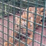 വഖഫ് നിയമനം;സര്‍ക്കാരിന്റെ തീരുമാനം സ്വാഗതാര്‍ഹം;മുഖ്യമന്ത്രി ഉറപ്പ് നൽകിയിരുന്നു കാന്തപുരം