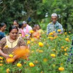 ആരോഗ്യ പ്രശ്നം;കോടിയേരി ബാലകൃഷ്ണൻ പാർട്ടി സെക്രട്ടറി സ്ഥാനം ഒഴിയും ?