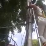 ഇന്ത്യയില്‍ ഗോതമ്പ് മാവിന്റെ കയറ്റുമതി നിരോധിച്ചു, വിലക്കയറ്റം നിയന്ത്രിക്കാനെന്ന് കേന്ദ്രമന്ത്രിസഭ