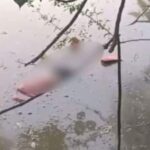 നടിയെ ആക്രമിച്ച കേസ്; പ്രോസിക്യൂഷൻ വാദം അംഗീകരിച്ച് കോടതി