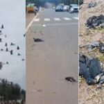 ഐഎന്‍എസ് വിക്രാന്ത് രാജ്യത്തിന് പുതിയ വിശ്വാസം പകരുന്നു, ഇത് പുതിയ ഭാവിയുടെ സൂര്യോദയം; പ്രധാനമന്ത്രി