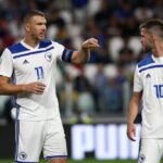 അട്ടപ്പാടി ഷോളയൂരിൽ മൂന്ന് വയസ്സ്കാരന് തെരുവ്‌നായ കടിയേറ്റു