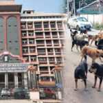 ഓടിക്കൊണ്ടിരുന്ന ലോറിയിൽ നിന്ന് ഇരുമ്പ് ഷീറ്റുകൾ കെട്ടുപൊട്ടിവീണു;വഴിയാത്രക്കാരായ രണ്ട് പേർക്ക് ദാരുണാന്ത്യം