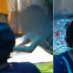 ഹിജാബ് കേസിൽ ഭിന്നവിധി; കർണാടക ഹൈക്കോടതി വിധി തെറ്റെന്ന് ജസ്റ്റിസ് ധൂലിയ, കേസ് വിശാല ബെഞ്ചിന്റെ പരിഗണനയിലേക്ക്