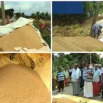 ദീപാവലി ആഘോഷവുമായി ഗൂഗിള്‍;സെർച്ച് ബാറിൽ നിന്നും നിങ്ങൾക്കും കത്തിക്കാം