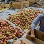 ബംഗാൾ ഉൾക്കടലിൽ ന്യൂനമർദ്ദം; കേരളത്തിൽ മഴ കൂടും, നാല് ജില്ലകളിൽ യെല്ലോ അലേർട്ട്