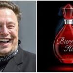 മനുഷ്യമാംസം കഴിച്ചെന്ന വാദം നിഷേധിച്ച് ഭഗവൽസിംഗും ലൈലയും, ഒന്നും പ്രതികരിക്കാതെ ഷാഫി; പ്രതികളെ കോടതിയിൽ ഹാജരാക്കി