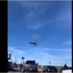 റോഷൻ ആൻഡ്രൂസ് ബോളിവുഡിലേക്ക്; നായകനായി ഷാഹിദ് കപൂർ