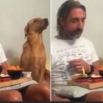 നെയ്യാർ ഡാമിൽ ചീങ്കണ്ണി ഭീതി, ജാഗ്രതാ നിർദ്ദേശം; വീഡിയോ സാമൂഹിക മാധ്യമങ്ങളിൽ പ്രചരിക്കുന്നു