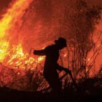 രവീന്ദ്ര ജഡേജയുടെ ഭാര്യ ജാംനഗറിൽനിന്ന്,മോര്‍ബിയിലെ എംഎല്‍എക്ക് സീറ്റില്ല,ഭൂപേന്ദ്ര പട്ടേൽ ഗാട്‍ലോഡിയയിൽ നിന്ന് ബിജെപി സ്ഥാനാര്‍ത്ഥിപട്ടിക