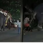 ‘ചൂണ്ടിക്കാട്ടും, തിരുത്താൻ ആവശ്യപ്പെടും, ഇല്ലെങ്കിൽ പാർട്ടിയിൽ സ്ഥാനമില്ല’; ആരോപണം തള്ളാതെ പി ജയരാജൻ