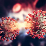 ‘നിലപാടുകൾ ജനപക്ഷത്ത് നിന്നാകണം, ജനവിരുദ്ധ പ്രവണതകൾ പാർട്ടിയിൽ വച്ചുപൊറുപ്പിക്കില്ല’; എംവിഗോവിന്ദൻ