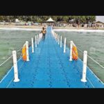 പിപിഇ കിറ്റ് അഴിമതി: ലോകായുക്ത നോട്ടീസ് റദ്ദാക്കില്ല, കെ കെ ശൈലജ ഉൾപ്പടെയുള്ളവർക്കെതിരായ അന്വേഷണം തുടരാം