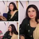 പ്രതിപക്ഷത്തിന് തർക്കിക്കാൻ ഒന്നും അവശേഷിച്ചിരുന്നില്ല, ഇറങ്ങിപ്പോയത് നിരുത്തരവാദപരമായ നിലപാട്; മന്ത്രി രാജീവ്