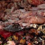 മുൻ ഭാര്യയെ മർദിച്ച് പല്ല് അടിച്ച് തെറിപ്പിച്ചു; ഭർത്താവിന് 10 ലക്ഷം രൂപയോളം പിഴ ശിക്ഷ