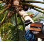 പരാമര്‍ശം വരുത്തിവെച്ച വിന ഒഴിഞ്ഞ ഗ്യാലറി പരിതാപകരമെന്ന് പന്ന്യന്‍,മലയാളികളുടെ ആത്മാഭിമാനത്തെ ചോദ്യംചെയ്യരുതെന്ന് വി ഡി