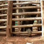 മുഖ്യമന്ത്രിയെ അടക്കം വിമർശിച്ച് ഫേസ്ബുക്ക് കുറിപ്പ്; ഉദ്യോഗസ്ഥനെതിരെ നടപടി, കോഴിക്കോട് നിന്ന് പത്തനംതിട്ടയിലേക്ക് മാറ്റി