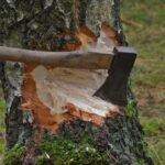 സാധാരണ പൗരന്മാരുടെ പ്രതീക്ഷകളും അഭിലാഷങ്ങളും നിറവേറ്റും; ഇന്ത്യയുടെ ബജറ്റ് ലോകം ഉറ്റുനോക്കുകയാണെന്ന് പ്രധാനമന്ത്രി