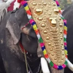 വ്യാജ ജനന സർട്ടിഫിക്കറ്റ്; ഗുരുതരമായ തെറ്റ്, പൊലീസ് അന്വേഷണവും വേണം, കുഞ്ഞിനെക്കുറിച്ചും അന്വേഷണമെന്ന് മന്ത്രി