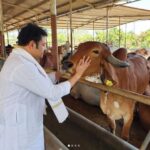 മഞ്ജുവിനെ വീണ്ടും വിസ്തരിക്കരുതെന്ന് ദിലീപ്;വീണ്ടും വിസ്തരിക്കുന്നത് ദിലീപിന്റെ പങ്കുതെളിയിക്കാനെന്ന് സർക്കാർ