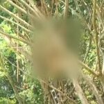 അങ്കമാലിയില്‍ മുഖ്യമന്ത്രിക്കു നേരെ യൂത്ത് കോൺഗ്രസ് പ്രവർത്തകരുടെ കരിങ്കൊടി പ്രതിഷേധം