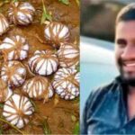 ‘സമാധാനത്തിൻ്റെ യഥാർത്ഥ ശക്തി’, പർവേസ് മുഷറഫിന്റെ മരണത്തിൽ തരൂർ, വിമർശിച്ച് ബിജെപി