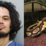 ഇനി മുതല്‍ സൗജന്യ ഗാര്‍ഹിക ഇന്റര്‍നെറ്റ്; ബജറ്റില്‍ രണ്ട് കോടി വകയിരുത്തി