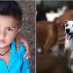 വിദേശകാര്യ മന്ത്രാലയത്തിന്റെ ഓൺലൈൻ പ്രോഗ്രാമിന്റെ നടത്തിപ്പ് ഐഐഎം കോഴിക്കോടിന്