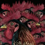 തിരക്കഥ നല്ല ഗൗരവമുള്ളതും ആദ്യത്തെ മിനിറ്റിൽ പൊട്ടിപ്പോകുന്നതും ആകരുത്; സ്വപ്ന സുരേഷിനെതിരെ എം.വി.ഗോവിന്ദൻ