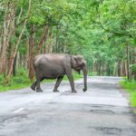 സ്ത്രീകളുടെ മോർഫ് ചെയ്ത ദൃശ്യങ്ങൾ പ്രചരിപ്പിച്ചു; യുവാവ് അറസ്റ്റിൽ