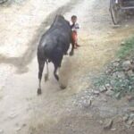 മോഹൻലാലിന്റെ പാൻ ഇന്ത്യ ചിത്രം; ഋഷഭ ഉടനെ തുടങ്ങുമെന്ന് സൂചന