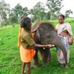 ദേശീയ ബാലാവകാശ സംരക്ഷണ കമ്മീഷന്‍ അധ്യക്ഷന് നേരെ പോലീസ് ആക്രമണം; നടപടിയുമായി ബംഗാൾ സർക്കാർ