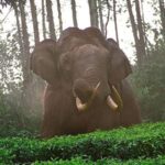 അച്ഛനും അമ്മയ്ക്കും തന്നെക്കൊണ്ട് യാതൊരു ഗുണവും ഇല്ല, ഭാര്യയും മക്കളും അവരുടെ വീട്ടുകാരുടെ ചെലവിൽ: അഖിൽ മാരാരിന്റെ ജീവിത കഥ ഇങ്ങനെ