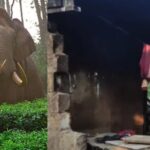 തനിക്കെതിരെ നടന്നത് ആസൂത്രിത ആക്രമണം; വക്കീൽ നോട്ടീസിന് മറുപടിയില്ലെങ്കിൽ നിയമ നടപടികളുമായി മുന്നോട്ട് പോകും; കെ കെ രമ